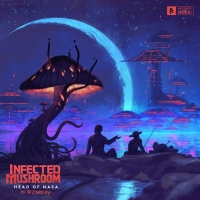 Infected Mushroom - Head of NASA and the 2 Amish Boys (2018) MP3
