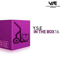 VA - Y.S.E. In The Box Vol.16 (2018) MP3
