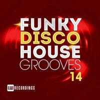 VA - Funky Disco House Grooves Vol 14 (2018) MP3
