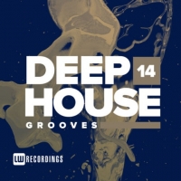 VA - Deep House Grooves Vol 14 (2019) MP3
