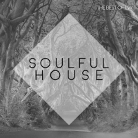 VA - Best Of LW: Soulful House III (2019) MP3
