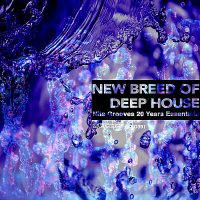 VA - New Breed Of Deep House [Nite Grooves 25 Years Essentials] (2019) MP3