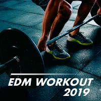 VA - EDM Workout (2019) MP3
