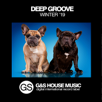 VA - Deep Groove Winter '19 (2019) MP3