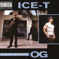 Ice-T - O.G. Original Gangster (1991) MP3