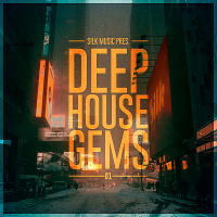 VA - Silk Music Pres. Deep House Gems 01 (2019) MP3