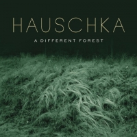 Hauschka - A Different Forest (2019) MP3