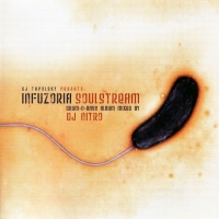 Infuzoria - Soulstream [mixed by DJ Nitro] (2005) MP3