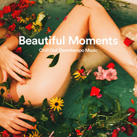 VA - Beautiful Moments: Chill Out Downtempo Music (2019) MP3
