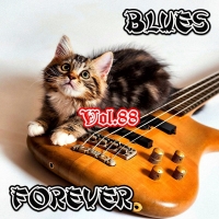 VA - Blues Forever, Vol.88 (2019) MP3