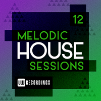 VA - Melodic House Sessions Vol.12 (2019) MP3
