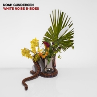 Noah Gundersen - White Noise B-Sides (2019) MP3