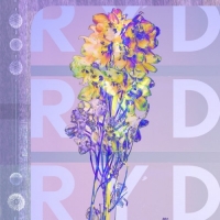 Ryd - Ryd (2019) MP3