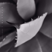 Dirk Serries - Epitaph [2CD] (2018) MP3  Vanila