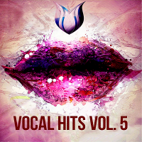 VA - Vocal Hits Vol.5 (2020) MP3