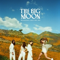 The Big Moon - Walking Like We Do (2020) MP3