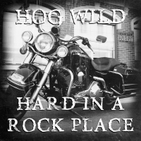 Hog Wild - Hard in a Rock Place (2020) MP3
