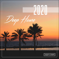 VA - Deep House 2020 [Deep Strips] (2020) MP3