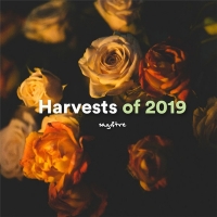 VA - David Soto: Harvests of 2019 (2020) MP3