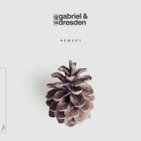 Gabriel & Dresden - Remedy (2020) MP3