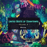 VA - United Beats of Downtempo Vol. 2 (2020) MP3