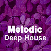 VA - Melodic Deep House (2019) MP3