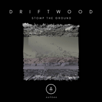 Driftwood - Stomp The Ground (2019) MP3
