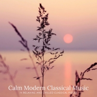 VA - Calm Modern Classical Music. 14 Relaxing and Chilled Classical Pieces (2020) MP3