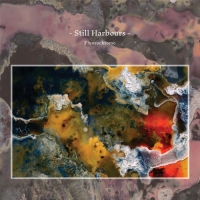 Still Harbours - Fluorochrome (2020) MP3  Vanila