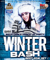 VA - Winter Bash: Mega Dance Hands Up Party (2020) MP3