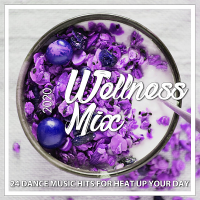 VA - Wellness Mix 2020: 24 Dance Music Hits For Heat Up Your Day (2020) MP3