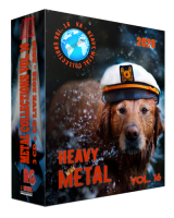 VA - Heavy Metal Collections Vol. 16 (2020) MP3