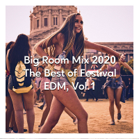 VA - Big Room Mix 2020: The Best Of Festival EDM Vol.1 (2020) MP3