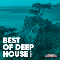 VA - Best Of Deep House 2020 [Planet House Music] (2020) MP3