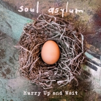Soul Asylum - Hurry up and Wait (2020) MP3