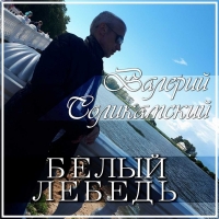 Валерий Соликамский - Белый лебедь (2017) MP3