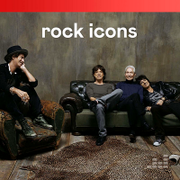 VA - Rock Icons (2020) MP3