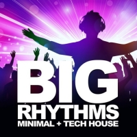 VA - Big Rhythms (2020) MP3