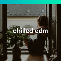 VA - Chilled EDM (2020) MP3