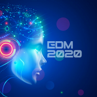 VA - EDM 2020 (2020) MP3
