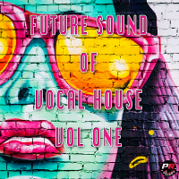 VA - Future Sound Of Vocal House Vol.1 (2020) MP3