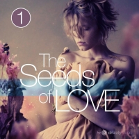 VA - The Seeds of Love Vol. 1 (2020) MP3