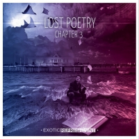 VA - Lost Poetry: Chapter 3 (2020) MP3