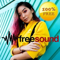 VA - Free Sound EDM And Best Mcs (2019) MP3