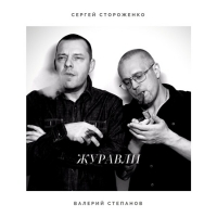 Сергей Стороженко & Валерий Степанов - Журавли (2019) MP3