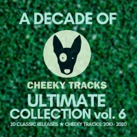 VA - A Decade Of Cheeky Ultimate Collection Vol. 6 (2020) MP3