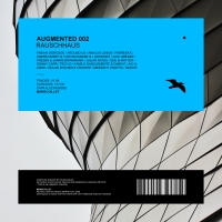 VA - Augmented 002: Rauschhaus (2020) MP3