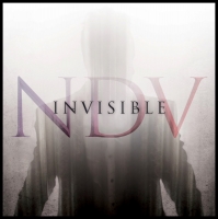 Nick D'Virgilio - Invisible (2020) MP3