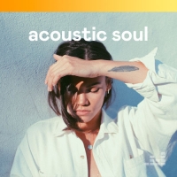 VA - Acoustic Soul (2020) MP3