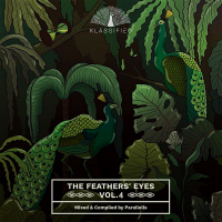 VA - The Feathers' Eyes Vol. 4 (2020) MP3